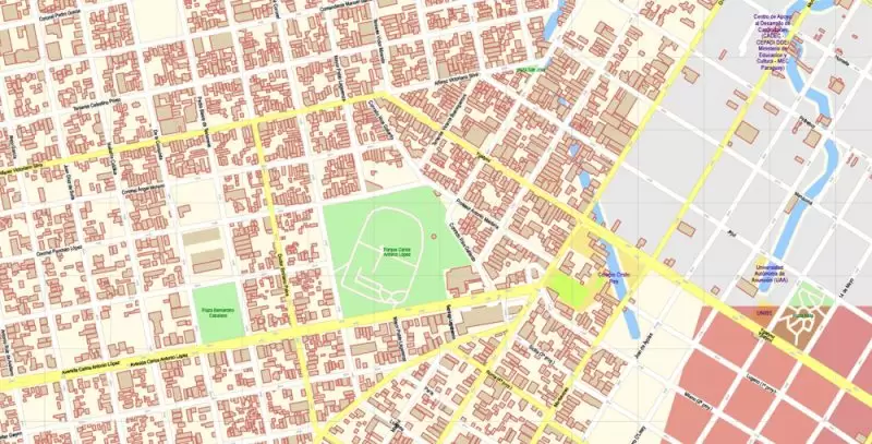 Asuncion Paraguay Map Vector Exact City Plan detailed Street Map editable Adobe Illustrator in layers