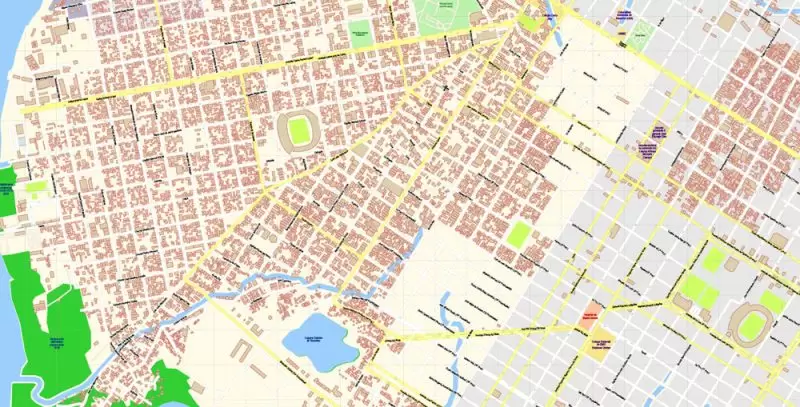 Asuncion Paraguay Map Vector Exact City Plan detailed Street Map editable Adobe Illustrator in layers