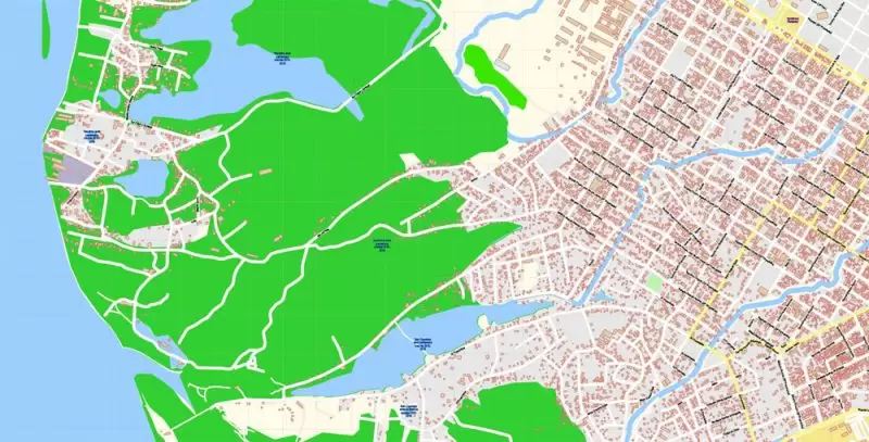 Asuncion Paraguay Map Vector Exact City Plan detailed Street Map editable Adobe Illustrator in layers