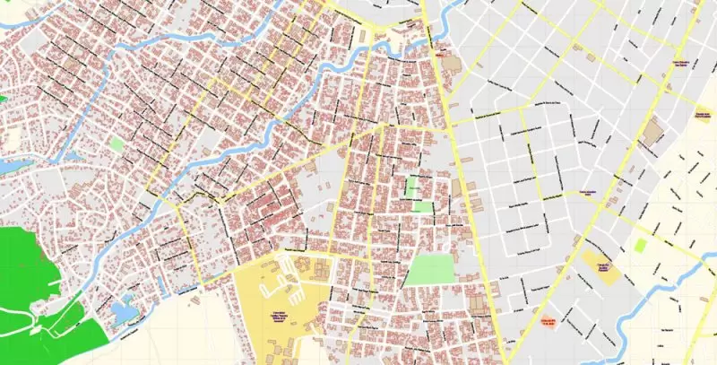 Asuncion Paraguay Map Vector Exact City Plan detailed Street Map editable Adobe Illustrator in layers