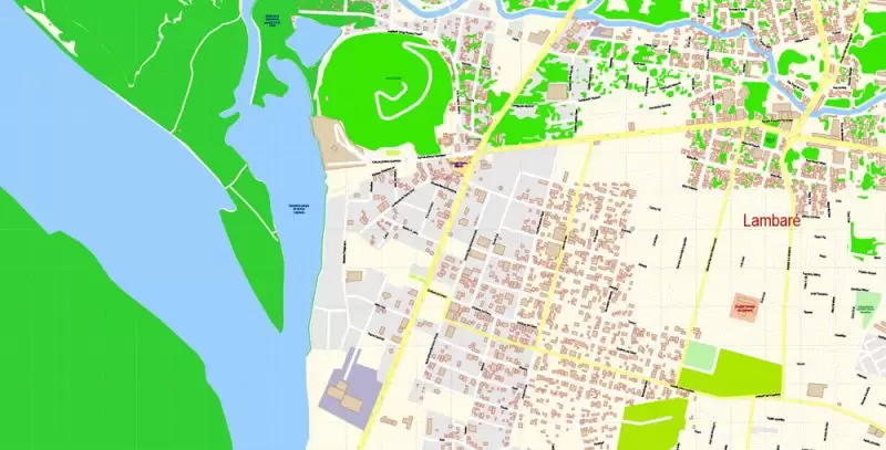 Asuncion Paraguay Map Vector Exact City Plan detailed Street Map editable Adobe Illustrator in layers