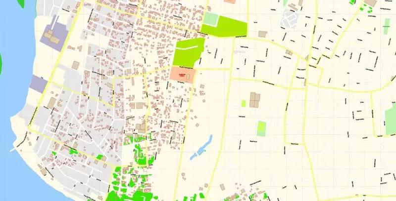 Asuncion Paraguay Map Vector Exact City Plan detailed Street Map editable Adobe Illustrator in layers
