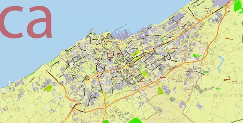 Morocco Map Vector Exact City Plan detailed Street Road Admin Map editable Adobe Illustrator in layers
