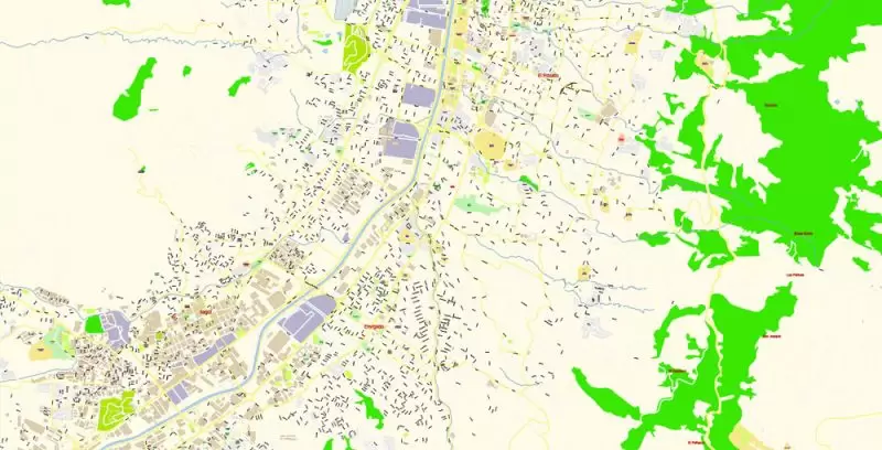 Medellin Colombia Map Vector Exact City Plan High Detailed Street Map editable Adobe Illustrator in layers