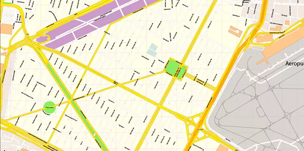 Mexico City Map Vector Exact City Plan High Detailed Street Map editable Adobe Illustrator in layers
