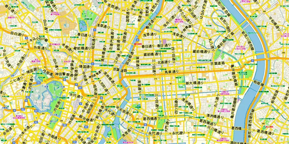 Tokyo Japan Map Vector Exact City Plan Low Detailed Street Map editable Adobe Illustrator in layers