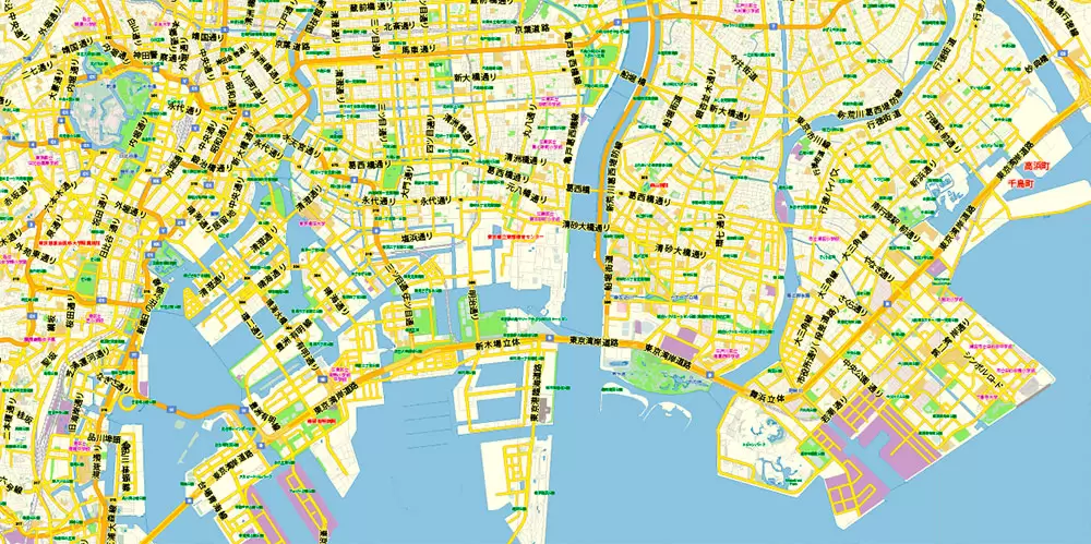 Tokyo Japan Map Vector Exact City Plan Low Detailed Street Map editable Adobe Illustrator in layers