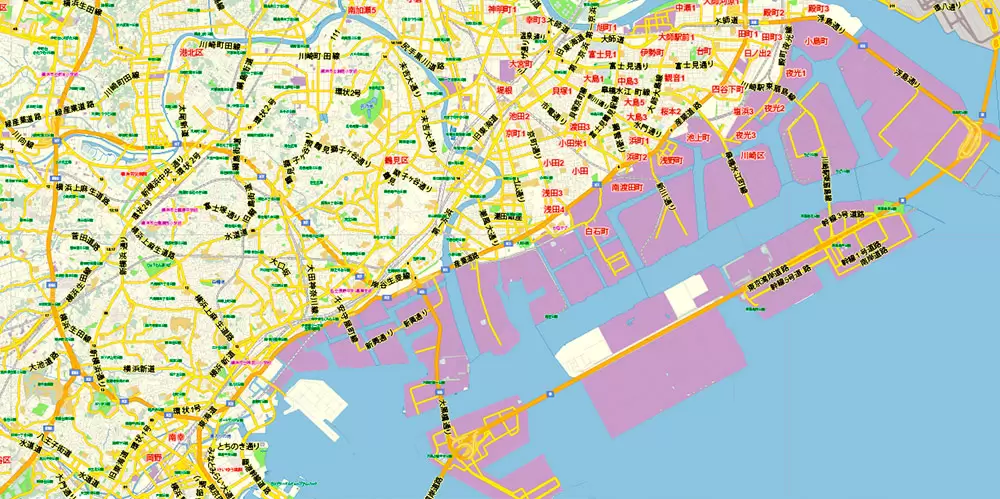 Tokyo Japan Map Vector Exact City Plan Low Detailed Street Map editable Adobe Illustrator in layers