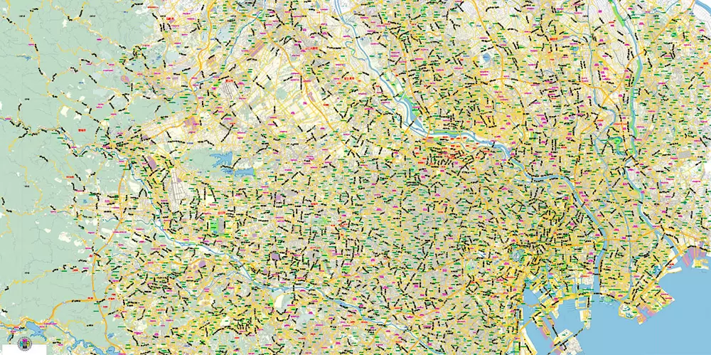 Tokyo Japan Map Vector Exact City Plan Low Detailed Street Map editable Adobe Illustrator in layers
