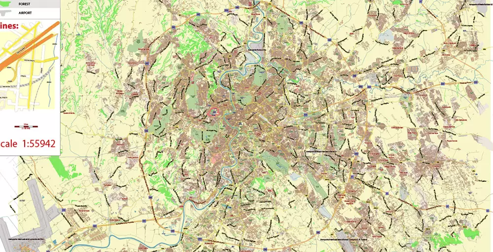Roma Rome Italy Map Vector Exact City Plan LOW Detailed Street Map editable Adobe Illustrator in layers