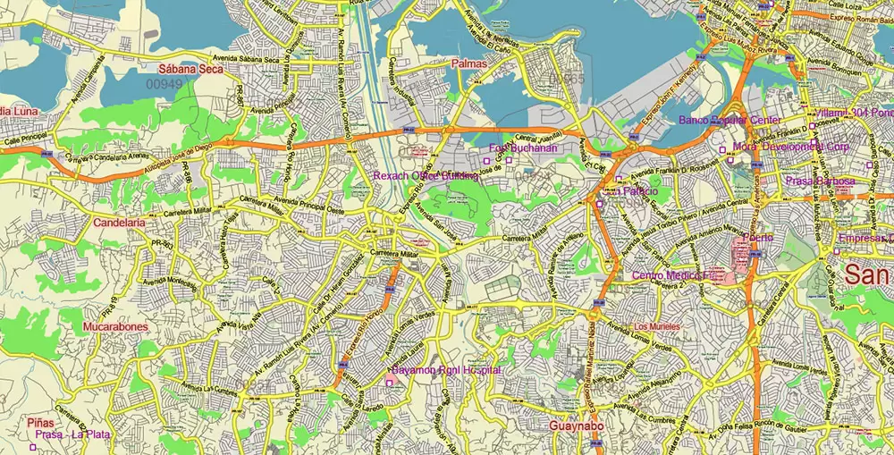 Puerto Rico Full State US Vector Map: Full Extra High Detailed (all roads, zipcodes, airports) editable Adobe Illustrator in layers