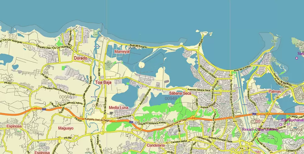 Puerto Rico Full State US Vector Map: Full Extra High Detailed (all roads, zipcodes, airports) editable Adobe Illustrator in layers