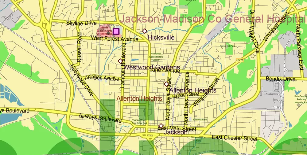 Tennessee US Map Vector Exact State Plan High Detailed Road Map + admin + Zipcodes editable Adobe Illustrator in layers