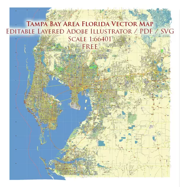 Tampa Bay Florida US Vector Map Free Editable Layered Adobe Illustrator + PDF + SVG