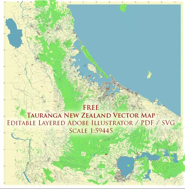 Tauranga New Zealand Vector Map Free Editable Layered Adobe Illustrator + PDF + SVG