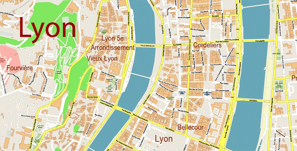 Lyon France City Vector Map Exact High Detailed editable Adobe Illustrator Street Map in layers