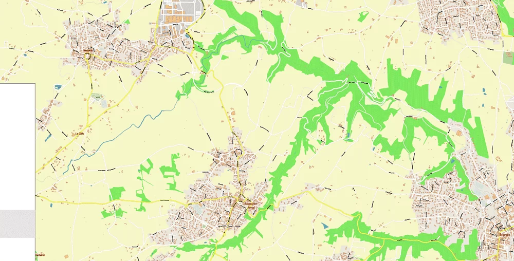 Lyon France City Vector Map Exact High Detailed editable Adobe Illustrator Street Map in layers