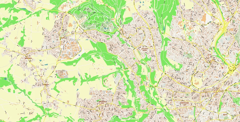 Lyon France City Vector Map Exact High Detailed editable Adobe Illustrator Street Map in layers