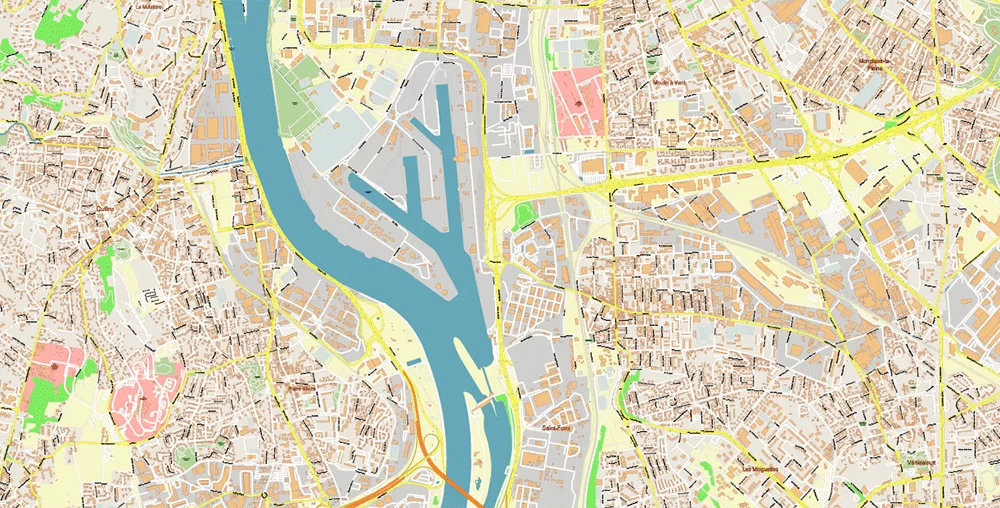 Lyon France City Vector Map Exact High Detailed editable Adobe Illustrator Street Map in layers