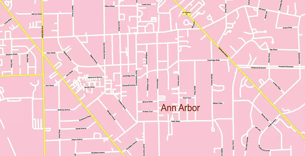 Michigan South-East area, US Vector Map: Extra High Detailed in 2 parts (all roads and streets with names) + Counties editable Adobe Illustrator in layers