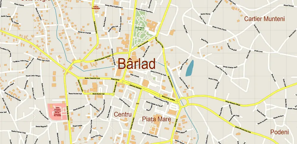 Barlad Romania PDF Vector Map high detailed All Roads Streets editable Layered Adobe PDF